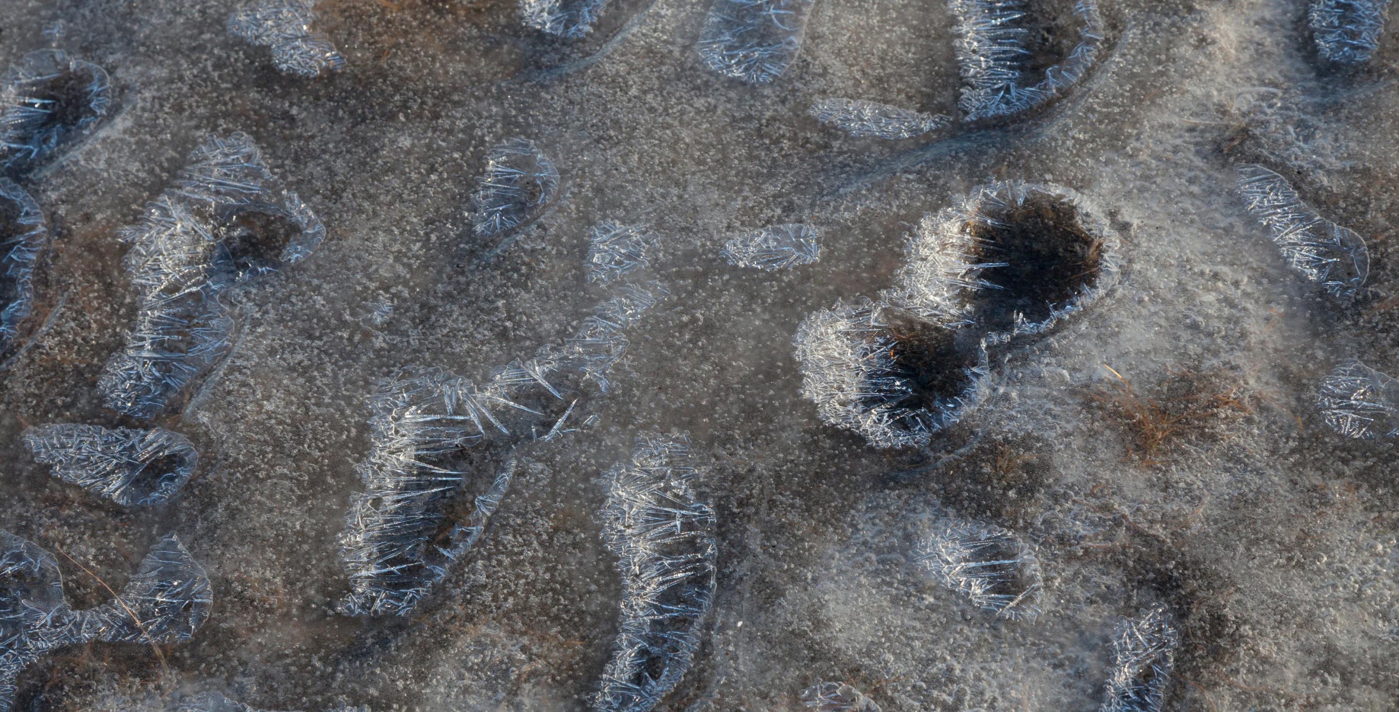 Détail de glace et de cailloux - Région de Mývatn – Islande