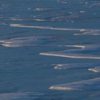 Détails de neige sur la glace du lac de Mývatn - Islande