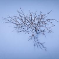 Région de Mývatn - Islande