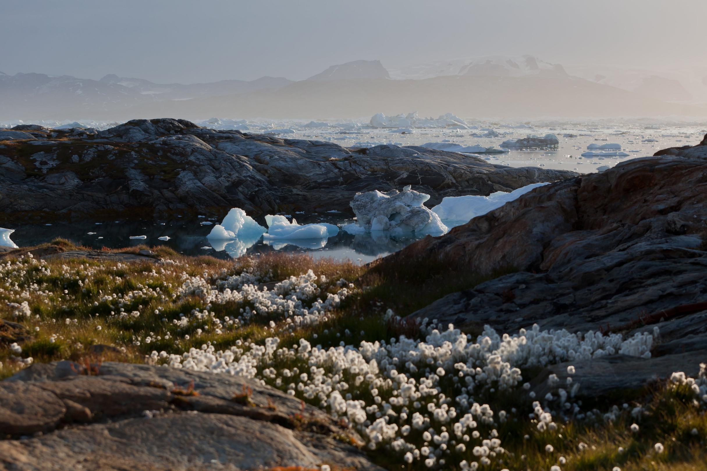 Fjord Sermilik depuis le village de Tinitikilac sur la côte est du Groenland