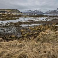 Iles Lofoten – Norvège