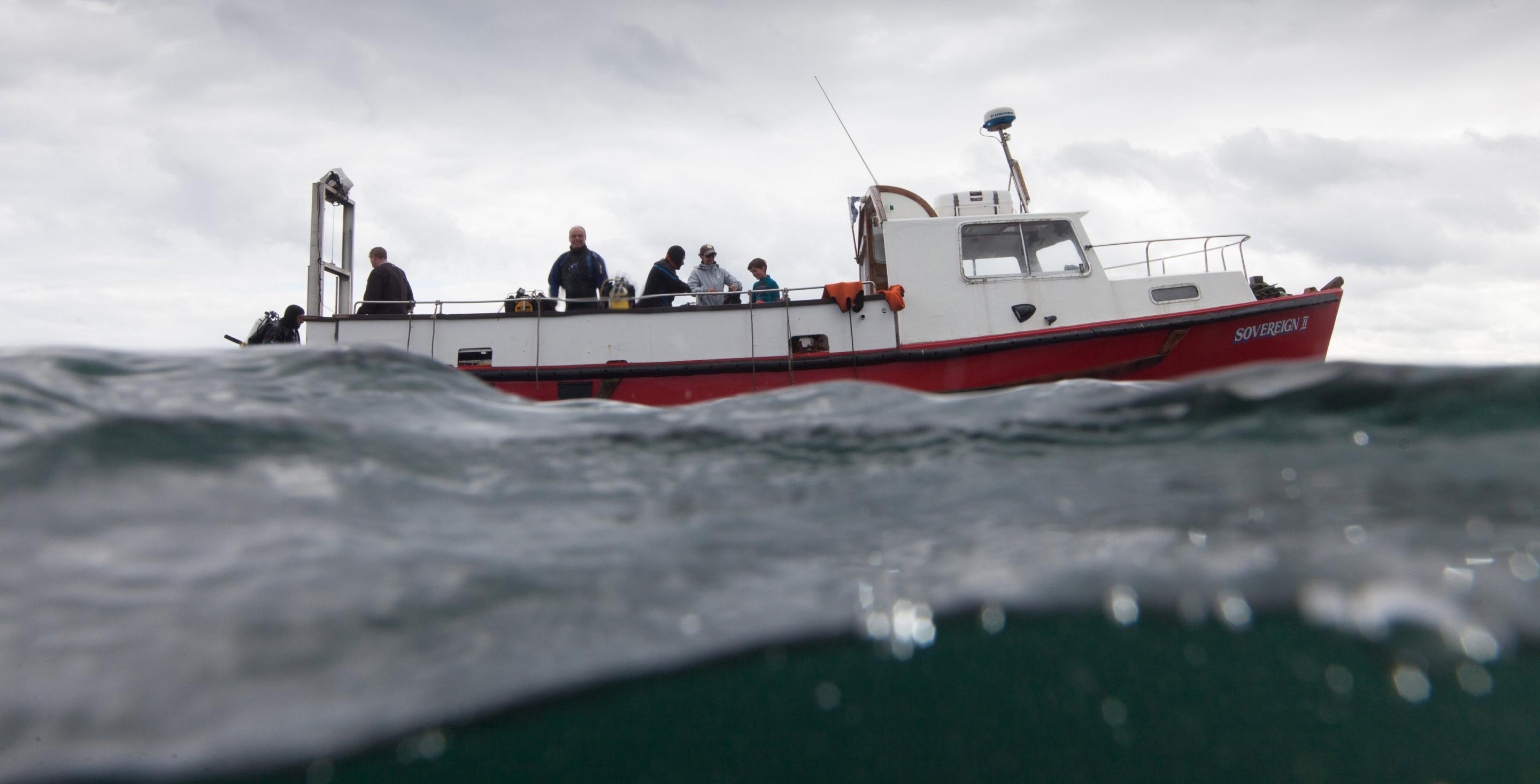 La plongée peut être sportive ! La mer n'est pas toujours calme aux îles Farne en Angleterre