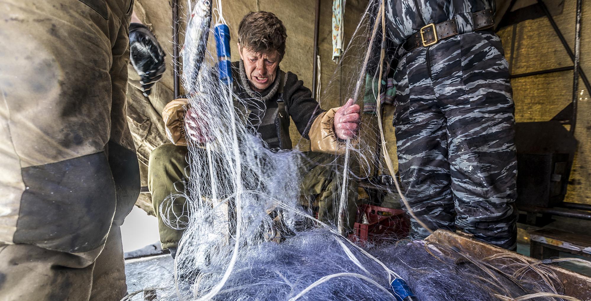 L’omoul (Coregonus migratorius) est l’une des principales ressources alimentaires pour les riverains du lac. Sa pêche hivernale se réalise sous une tente chauffée par un poêle à bois. Lac Baïkal - Sibérie - Russie