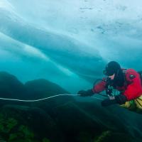Proche du bord, il est possible de voir la faune du lac : des poissons endémiques comme les chabots, très colorés et les crustacés d’eaux douces, comme les gammares. Les éponges locales, vertes fluo peuvent recouvrir des dizaines de mètres carrés de rochers. Lac Baïkal - Sibérie – Russie