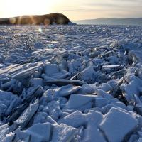 Toros du lac Baïkal en Sibérie – Russie