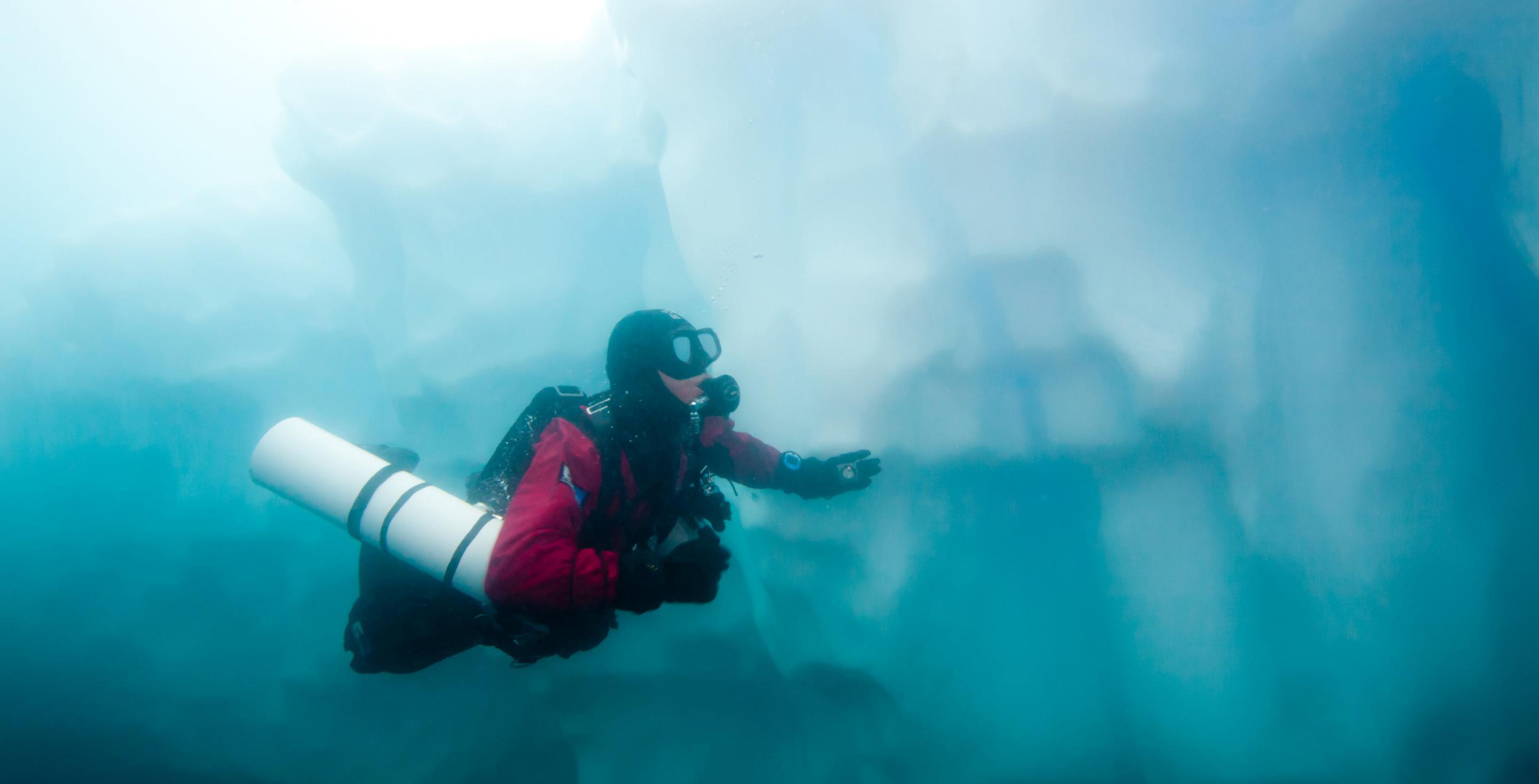 Les plongées sont l'occasion d'admirer les icebergs par dessous et découvrir des formes creusées par l'eau tout à fait incroyables de diversité.