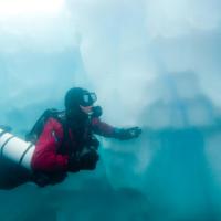 Les plongées sont l'occasion d'admirer les icebergs par dessous et découvrir des formes creusées par l'eau tout à fait incroyables de diversité.
