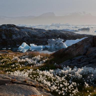 Fjord Sermilik depuis le village de Tinitikilac sur la côte est du Groenland