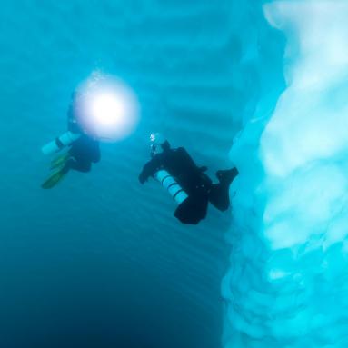 Plongeurs le long d'une paroi d'un iceberg du fjord Sermilik sur la côte est du Groenland
