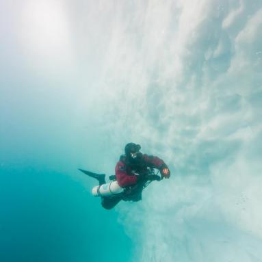 Plongeur le long d'une paroi d'un iceberg du fjord Sermilik sur la côte est du Groenland