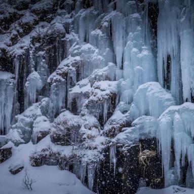 Glace sur les orgues basaltiques – Islande