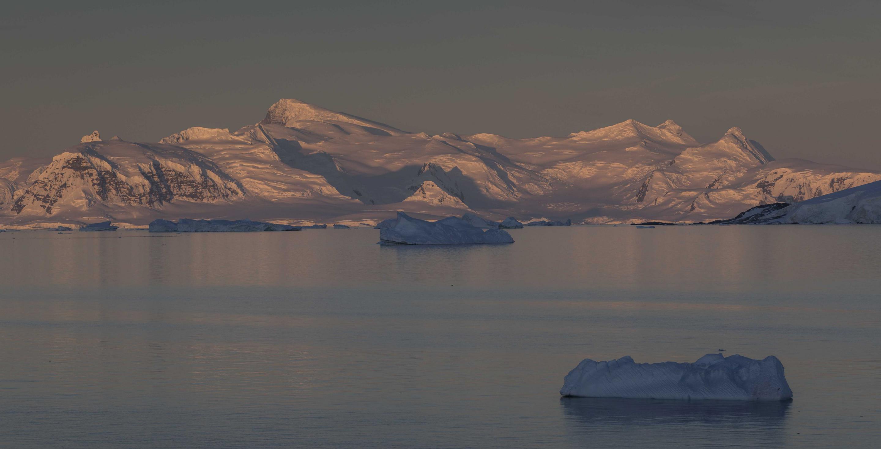 Dans la baie Andvord - Péninsule Antarctique