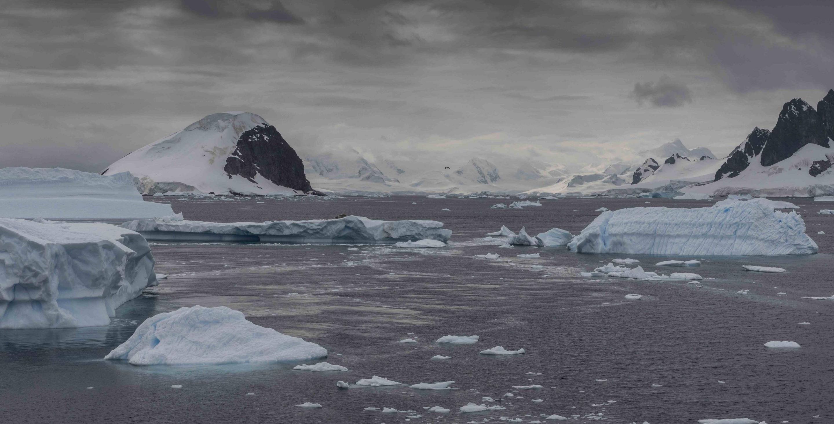 Dans la baie Andvord - Péninsule Antarctique